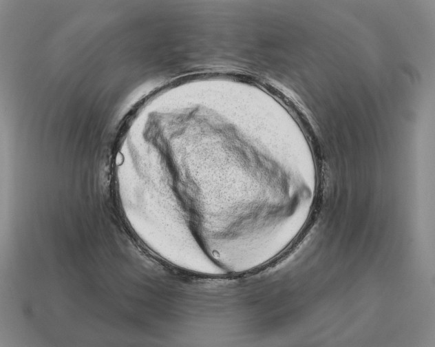 X0000114201163200911061418