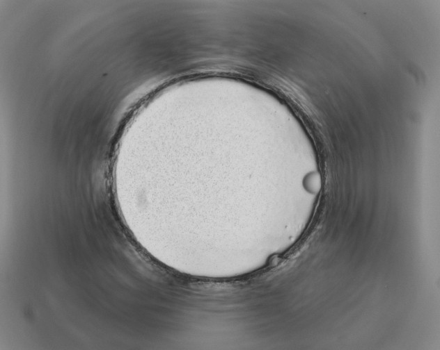 X0000114201164200911061418