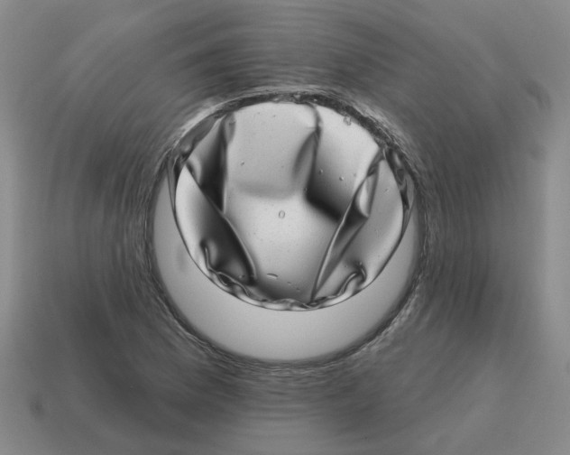 X0000114201169200911061418