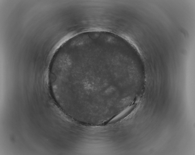 X0000114201173200911061418