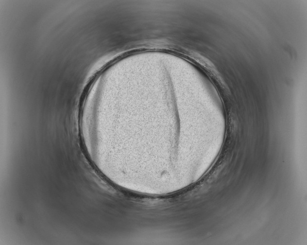 X0000114201176200911061418