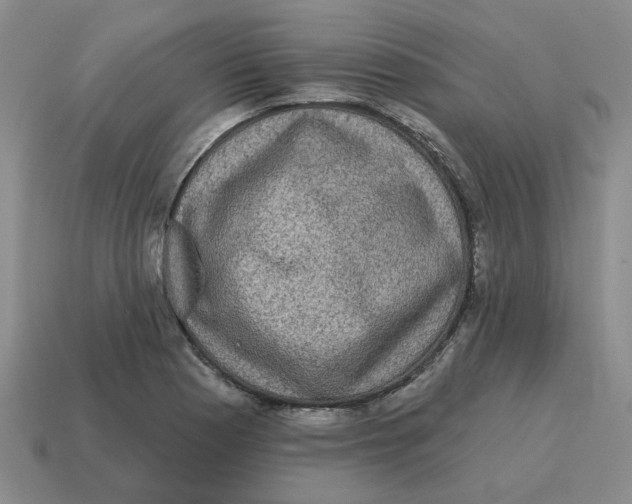 X0000114201177200911061418