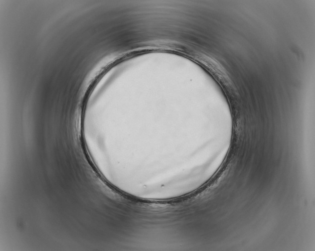 X0000114201180200911061418