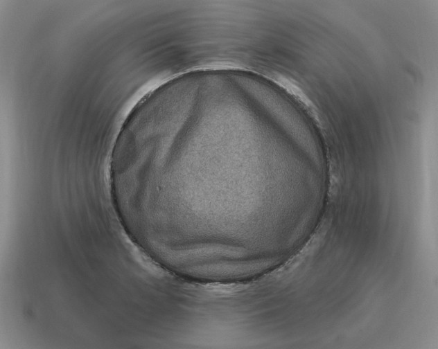 X0000114201181200911061418