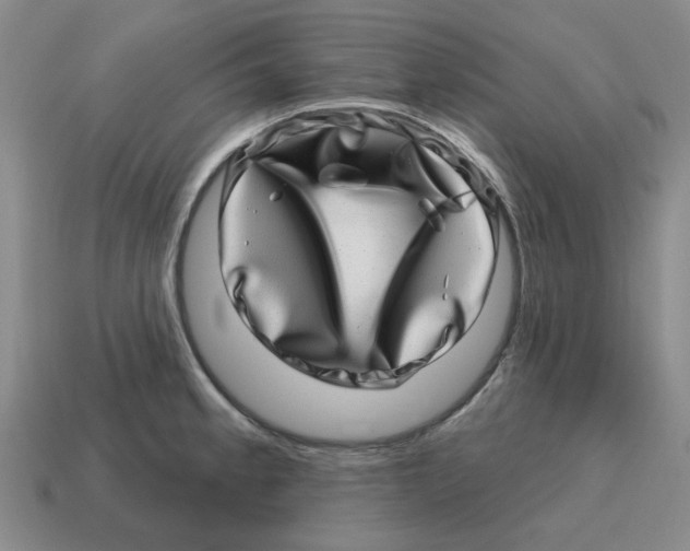 X0000114201189200911061418