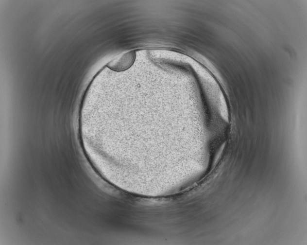 X0000114201195200911061417