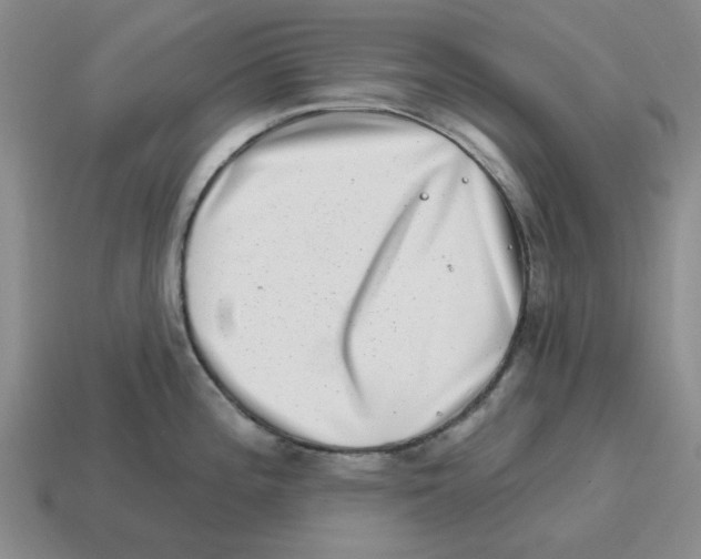 X0000114201196200911061417