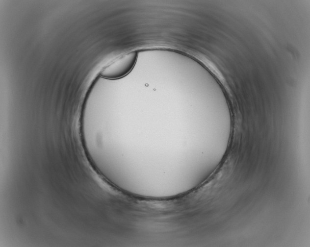 X0000114201197200911061417