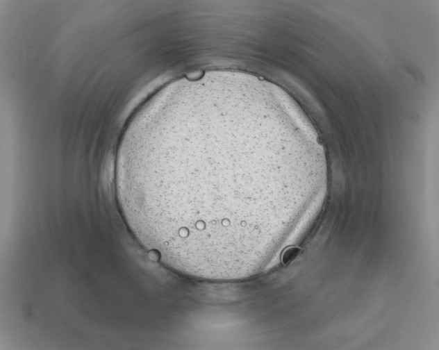 X0000114201198200911061417