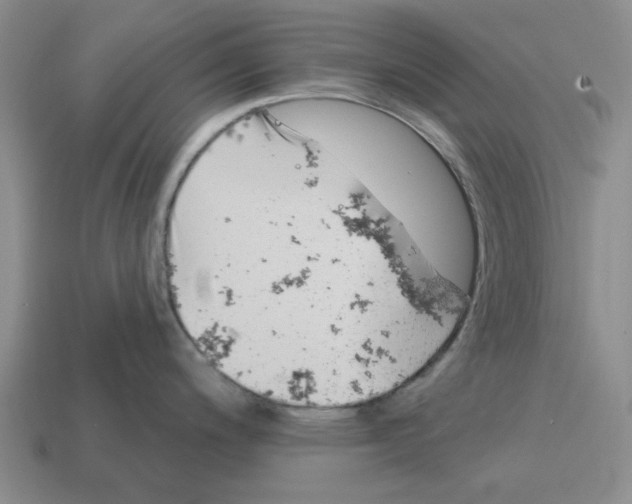 X0000114201200200911061417