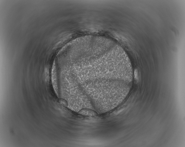 X0000114201203200911061417