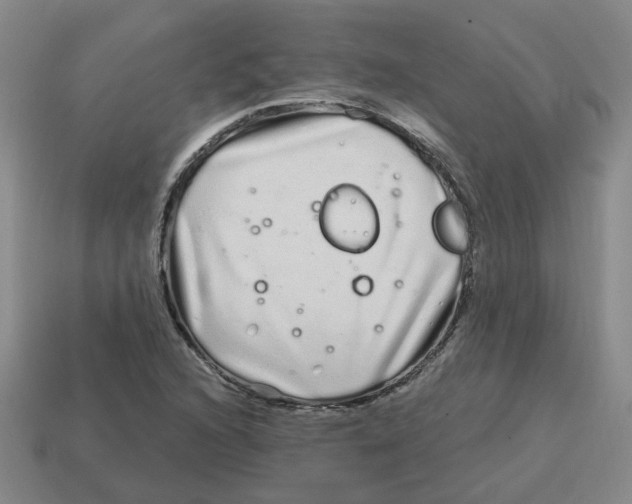 X0000114201216200911061417