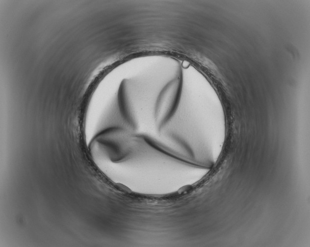 X0000114201218200911061417