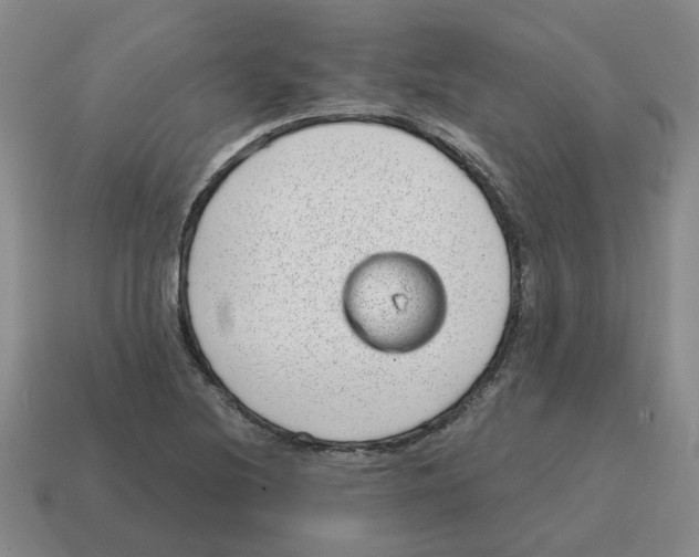 X0000114201220200911061417