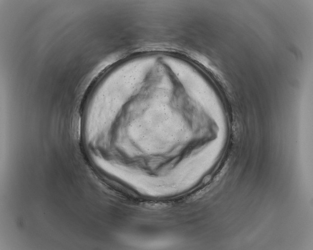 X0000114201221200911061417