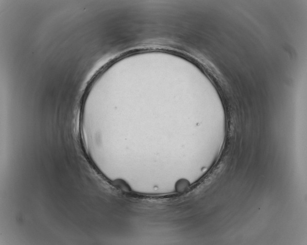 X0000114201224200911061417