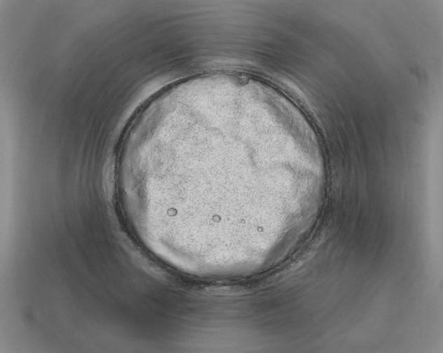 X0000114201227200911061417