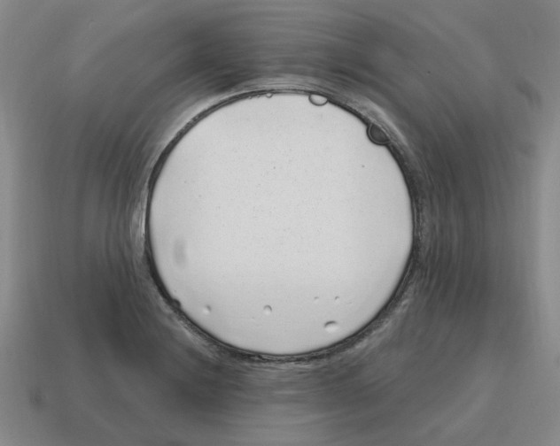 X0000114201228200911061417