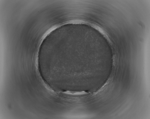 X0000114201229200911061417