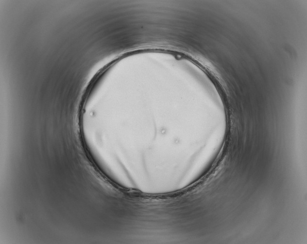 X0000114201230200911061417