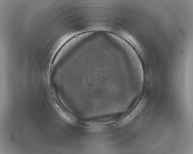 X0000114201236200911061417