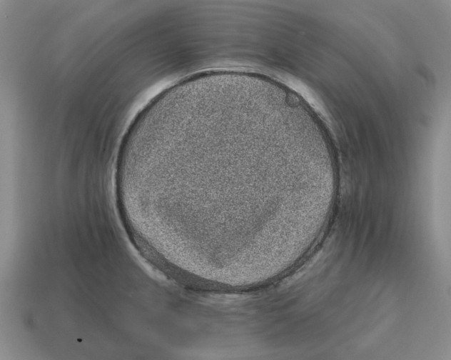 X0000114201237200911061417