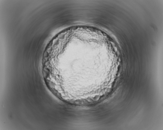 X0000114201239200911061417