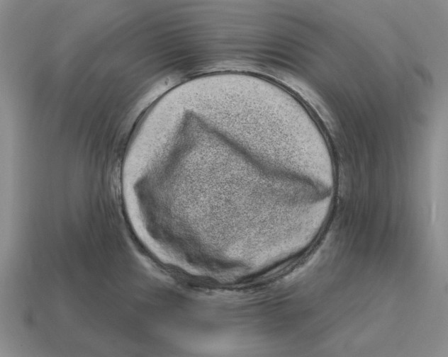 X0000114201241200911061417