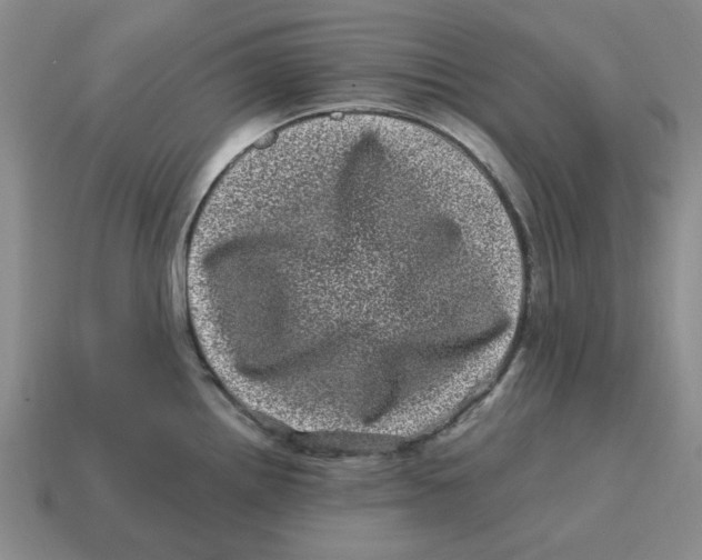 X0000114201242200911061417