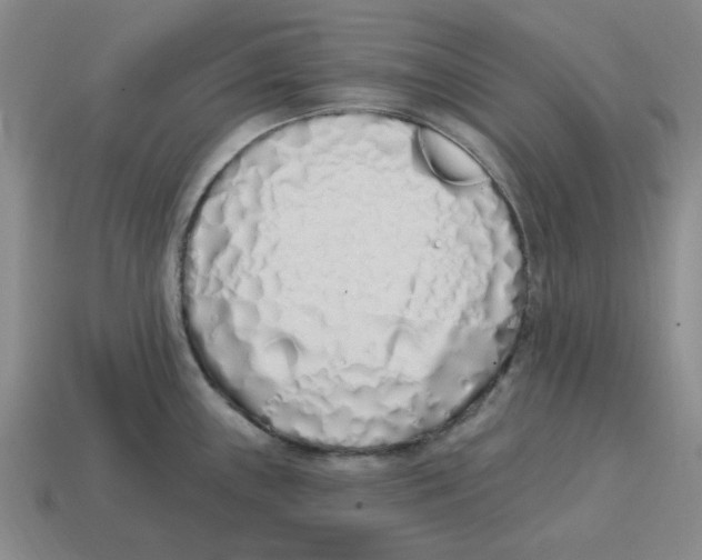 X0000114201243200911061417