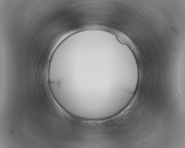 X0000114201244200911061417