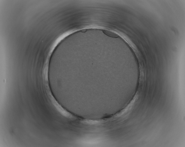 X0000114201246200911061417