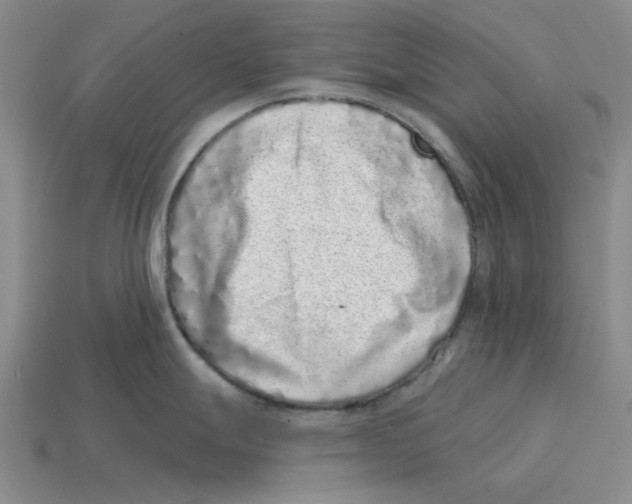 X0000114201247200911061417