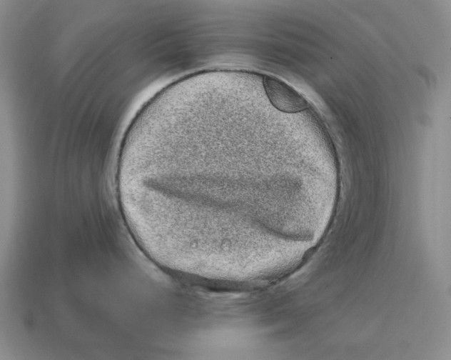 X0000114201248200911061417