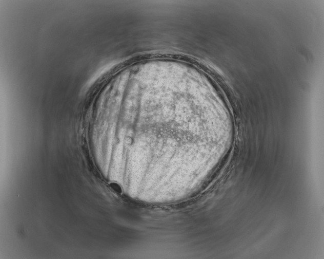 X0000114201255200911061417