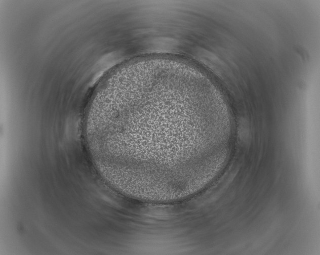 X0000114201258200911061417