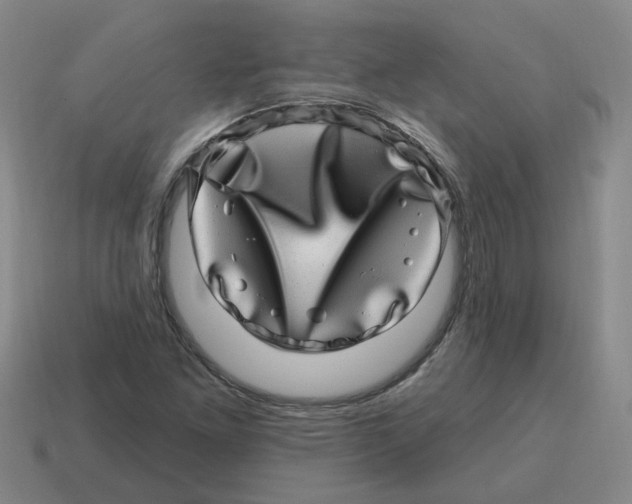 X0000114201261200911061417