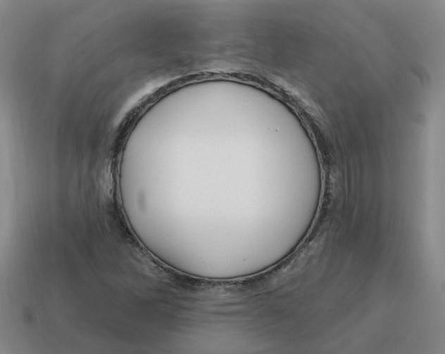 X0000114201262200911061417