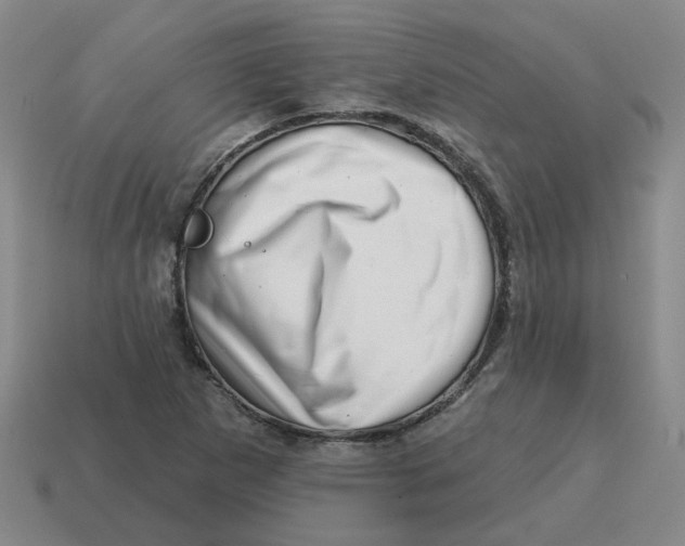 X0000114201265200911061417