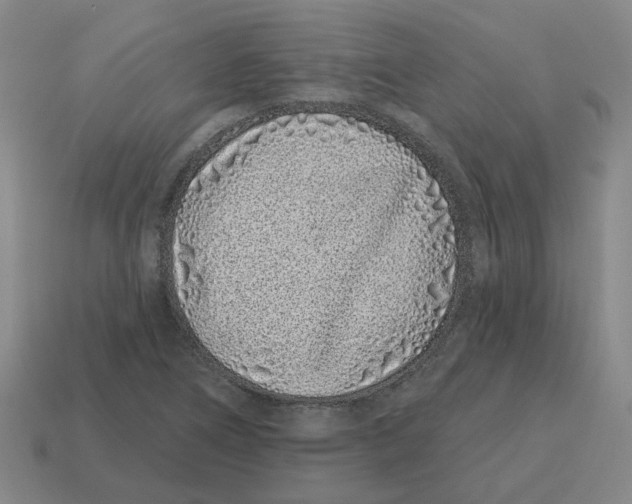 X0000114201266200911061417