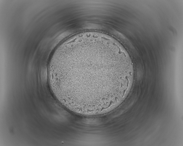 X0000114201274200911061416