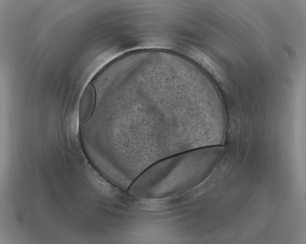 X0000114201276200911061416