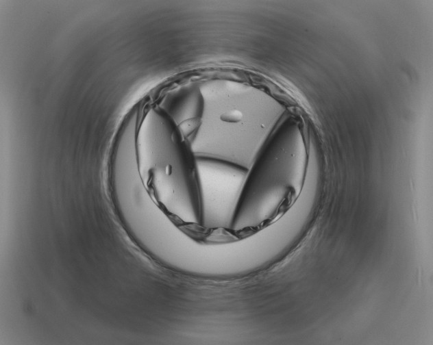 X0000114201277200911061416