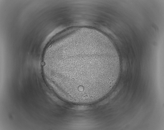 X0000114201278200911061416