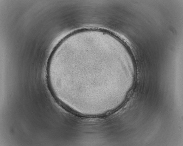 X0000114201279200911061416