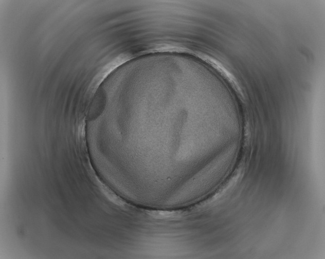 X0000114201281200911061416