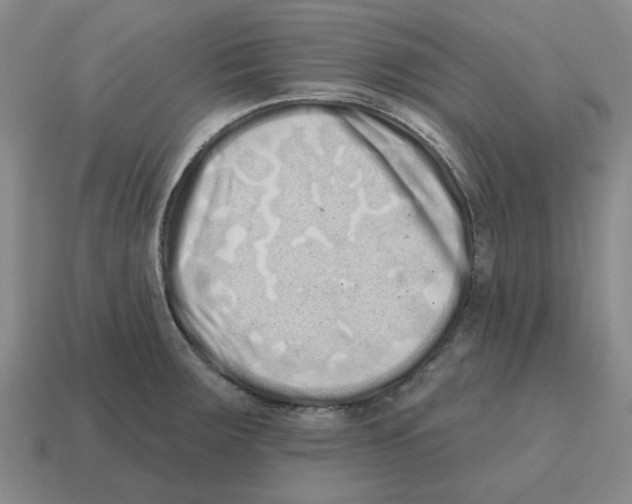 X0000114201283200911061416