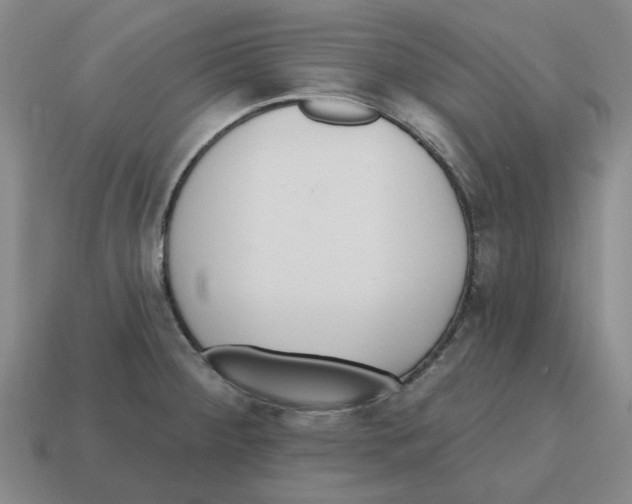 X0000114201284200911061416