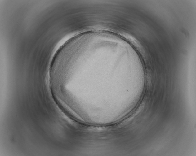 X0000114201286200911061416