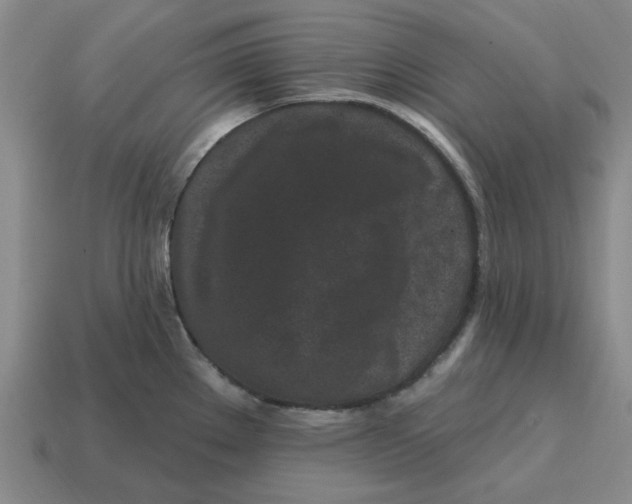 X0000114201289200911061416